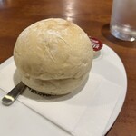 おとなのヒッコリー - 