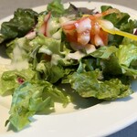 VOLTA うめきたグリーンプレイス店 - 