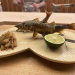 懐石料理 桝田 - 