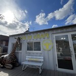 CREPE DE GIRAFE - 