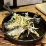 鰯屋 カタクチ - 