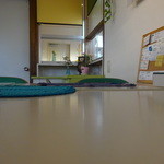 グリーン フォーレスト カフェ - 内観