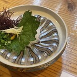 魚将　さかなちゃん - 
