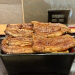 かぼちゃのたね - 