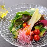 Shizun Kagura - いろいろ野菜たっぷりサラダ  EXオリーブビネグレット