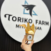 TORIKO FARM MIYAKOJIMA