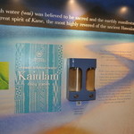 Sheraton Princess Kaiulani - 