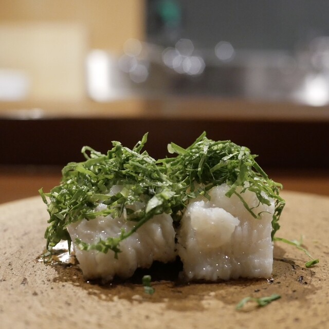 NICON, Hiroshima, Japan