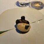 レフェルヴェソンス - 