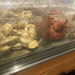 はこだて ふさや - 