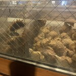 はこだて ふさや - 