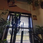 エスニックカフェ クローバー - 左横を見るとこの景色