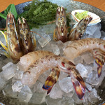 車えびレストラン球屋 - 