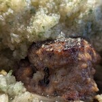 ハンバーグステーキ jumbo - お肉が埋もれてる
      雪国の車のようです