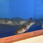 富貴 - 料理写真: