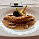 L’harmonie de la Lumiere - 