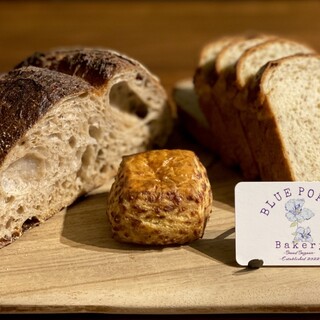 BLUE POPPY Bakery_0