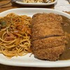 カレー専門店　パピー - チキンカレーロースカツトッピング＆ナポ