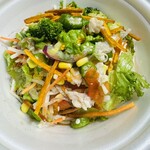 吉野家×はなまるうどん - 10種類のサラダうどん