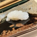 鮨料理 一高 - アオリイカ