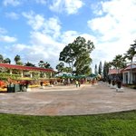 Dole Plantation - <'14/12/30撮影>店内のテラス席の風景です