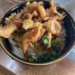 山下うどん - ぶっかけうどん（小）、芝エビかき揚げ