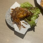 日本酒と海鮮料理 魚将 秋葉原本店 - 