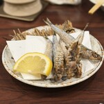 市場食堂 さかなや - 