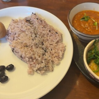 初台スパイス食堂 和魂印才たんどーる