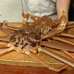 茂幸 - ズワイガニ