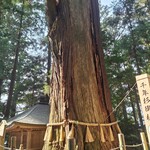 手打らーめん HIRO - 