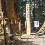 手打らーめん HIRO - 