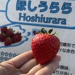 姫路ハートフル観光農園 - 