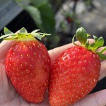 姫路ハートフル観光農園 - 