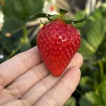 姫路ハートフル観光農園 - 