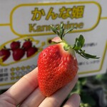 姫路ハートフル観光農園 - 