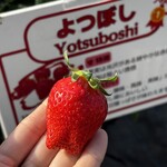 姫路ハートフル観光農園 - 