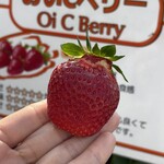 姫路ハートフル観光農園 - 