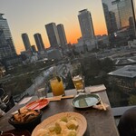 north trunk - 