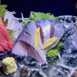 個室×地鶏×海鮮 居酒屋 とりせん - 