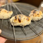 HAGI - トラフグ白子