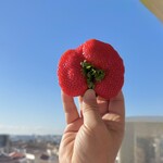 業務スーパー TAKENOKO - 料理写真:で、でかい!(º ロ º๑)♡