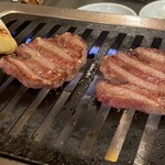 志村 徳寿園 - ブラックタン、綺麗な焼き色！