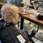 アガリコ 新宿 オリエンタルビストロ - シェリは膝の上