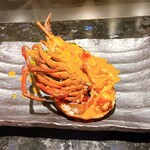 ＲＹＵＤＵＫＩ　ＴＥＰＰＡＮ - 