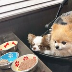 コレドール湯河原 Dog&Resort - 料理写真: