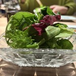 The INNOCENT CARVERY - 