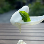 TERRASTA 果ふぇand 翠ーっ - 