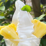 TERRASTA 果ふぇand 翠ーっ - 