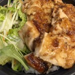 大人居酒屋 じゃいろ - 